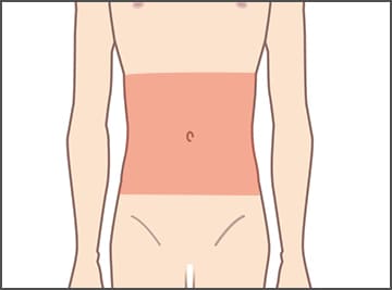 腹部全体